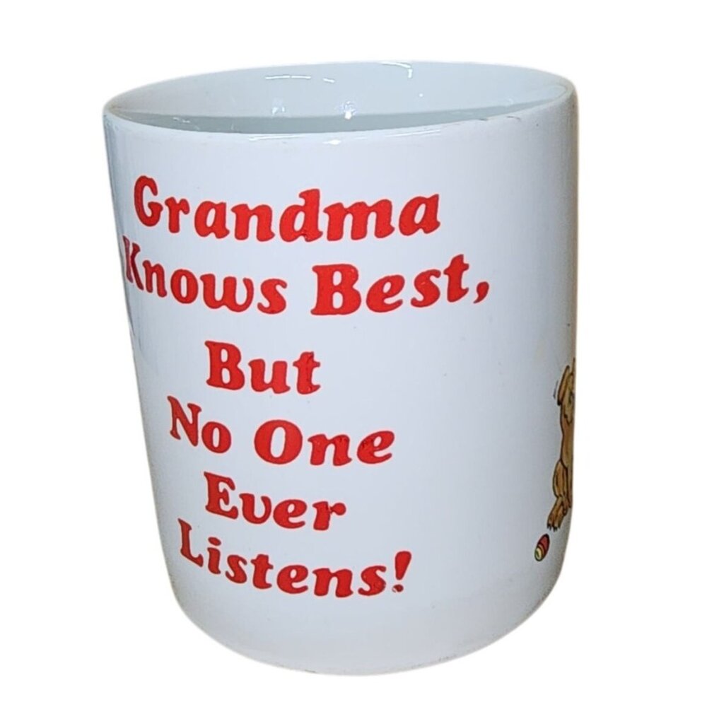 Vintage 1987 Meadowbrook Grandma Knows Best But No One Ever Listens Cup Mug